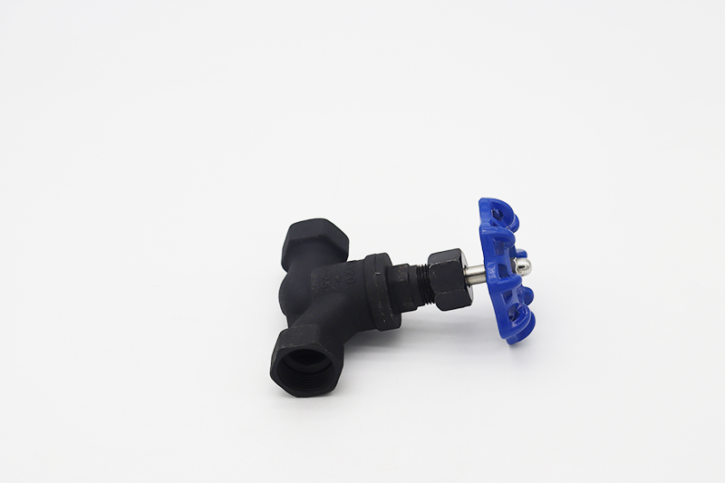 Carbon steel globe valve